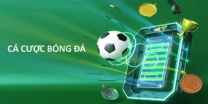 cá cược bóng đá bet365