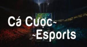 cá cược esports