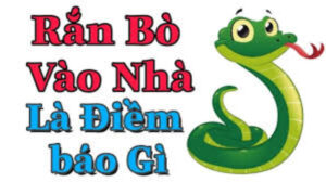 nằm mơ rắn bò vào nhà